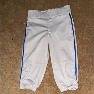 Gray Athletic Pants with Blue Stripes